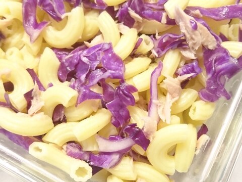 紫キャベツとツナのマカロニサラダ